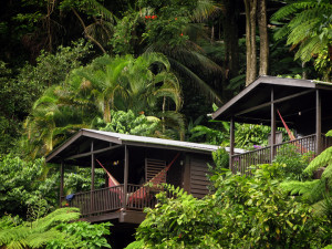 Cabins Cabins