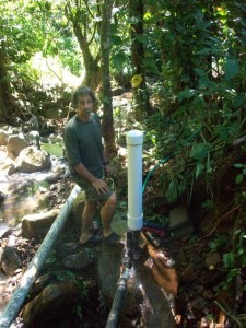 Dry Season in the Rainforest