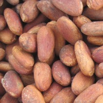 Cocoa Beans