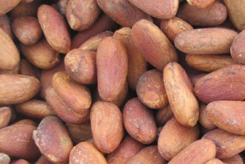Cocoa Beans