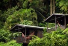 Cabins
