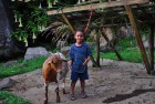 Leo and a goat