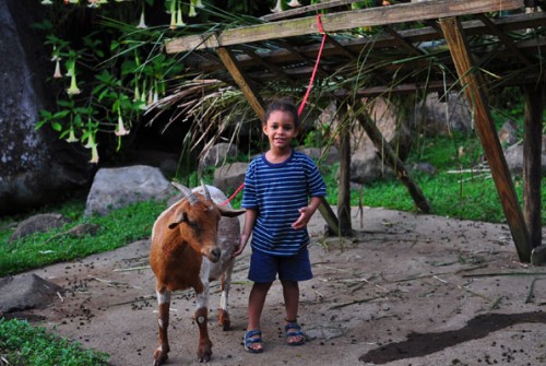 Leo and a goat