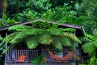 Private Cabin 4