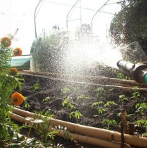Watering