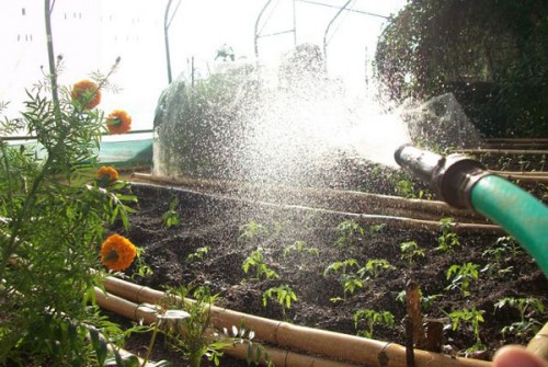 Watering